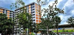Blk 817 Yishun Street 81 (Yishun), HDB 5 Rooms #590038411